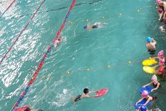 Clase abierta de natacion (5)