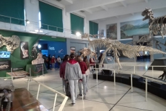 Museo de Ciencias Naturales1