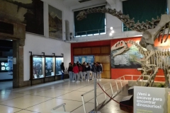Museo de Ciencias Naturales3